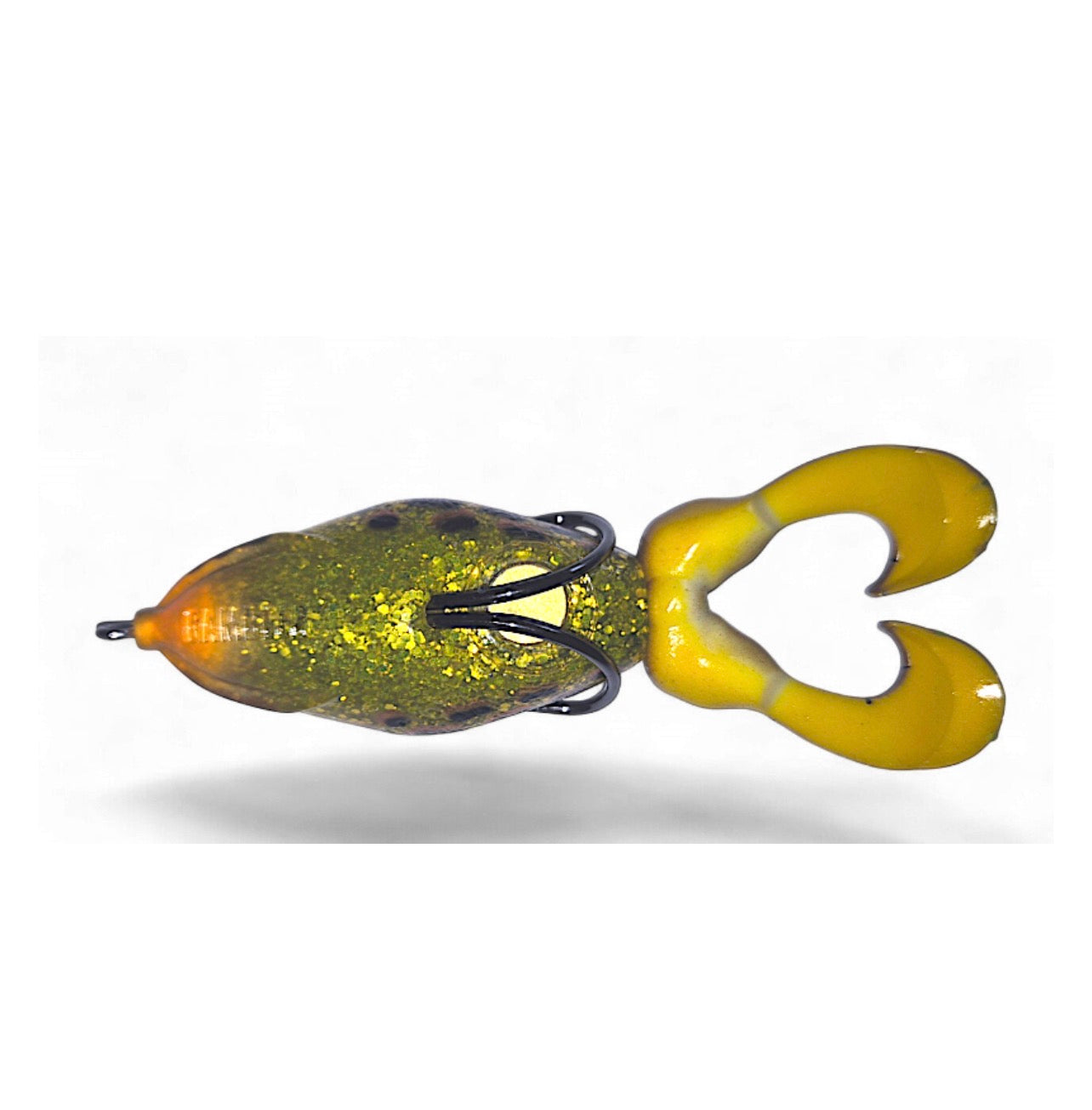 Gambler The Swimming Frog Yellow Belly