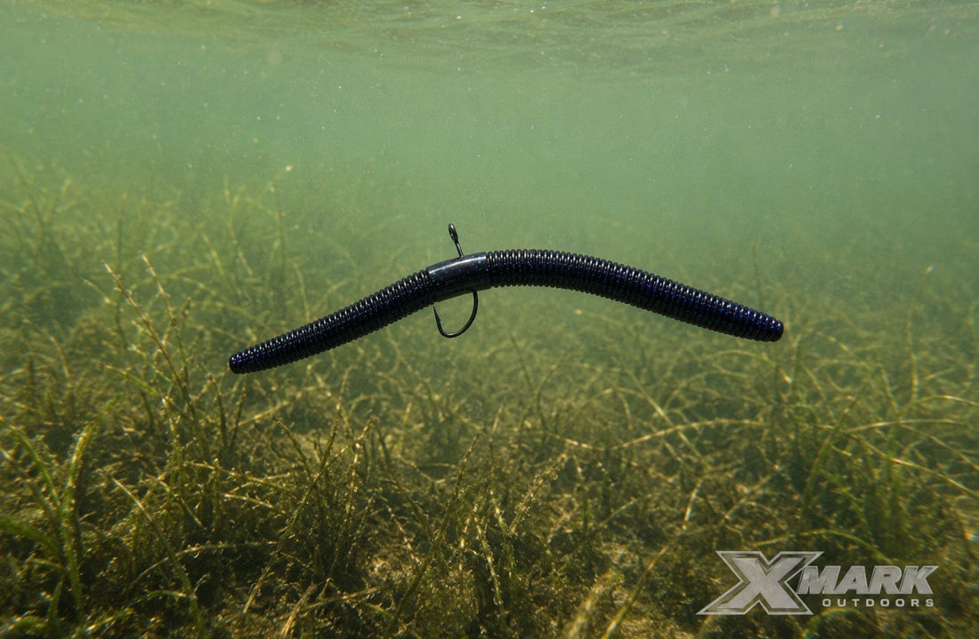 How to Fish a Weightless Stick Worm: The Complete Guide for Bass