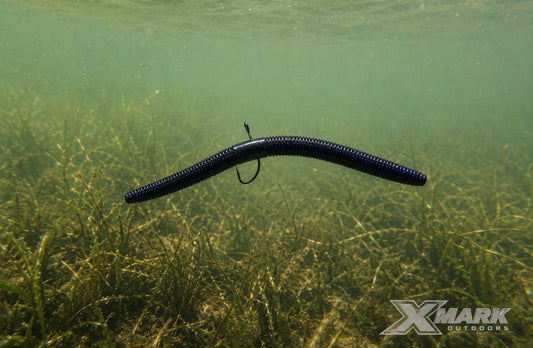 How to Fish a Weightless Stick Worm: The Complete Guide for Bass