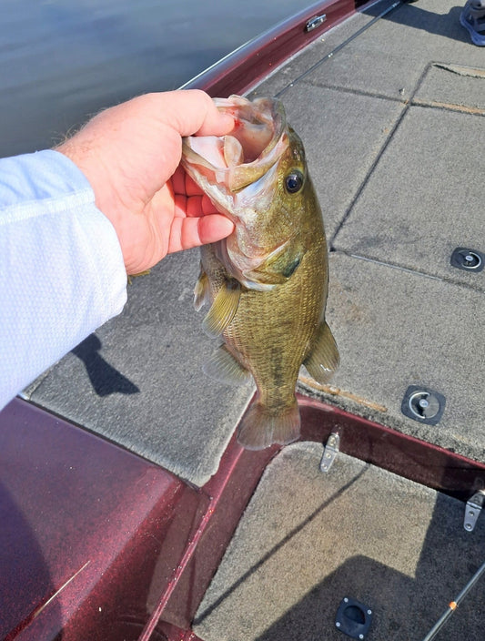 Best Bass Fishing Kits for Beginners: Everything You Need to Start Catching Bass