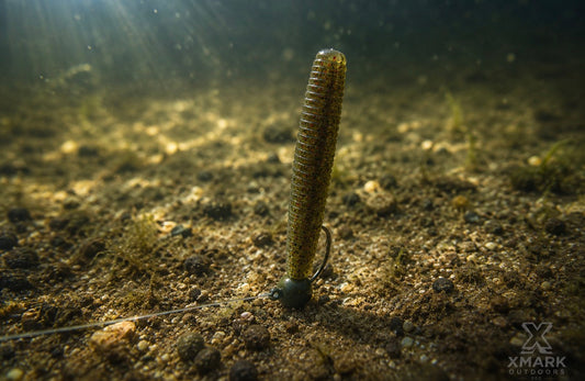 Ned Rig for Pond Bass: The Complete Guide