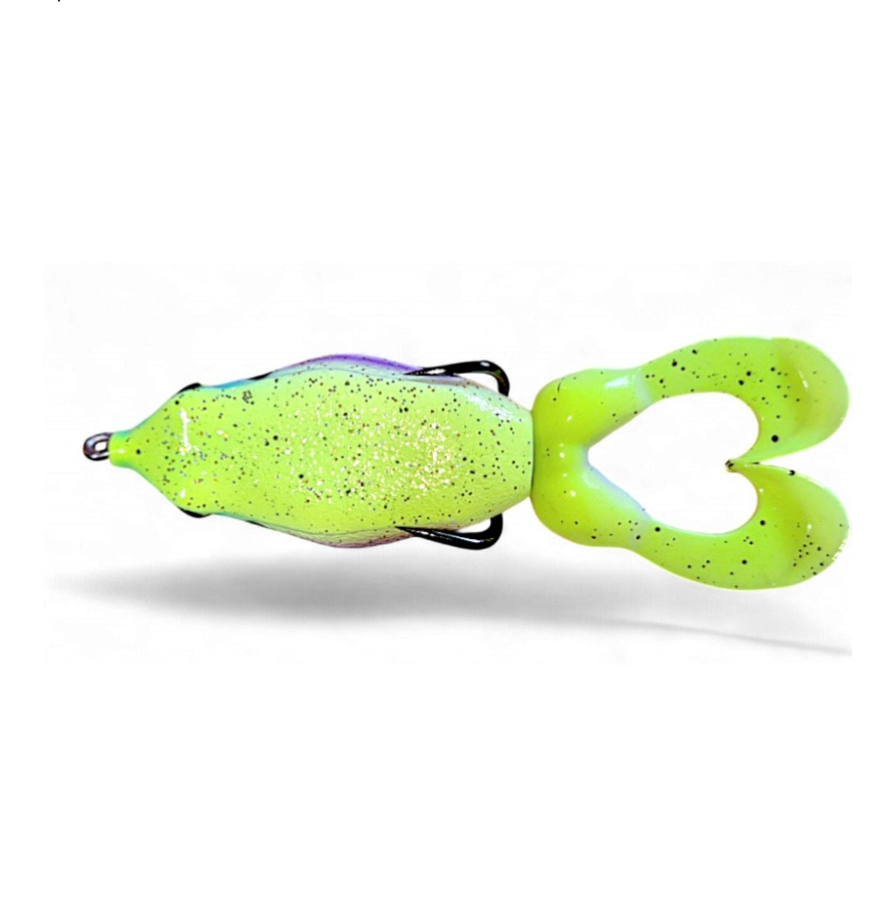 Gambler Swimming Frog