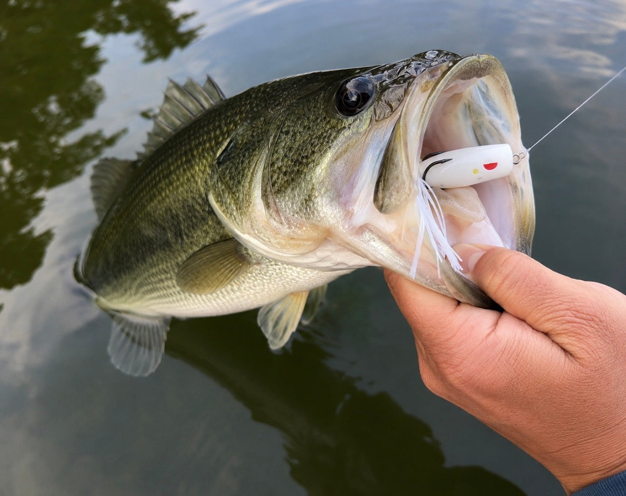 Gambler Popping Frog – Topwater Bass Frog