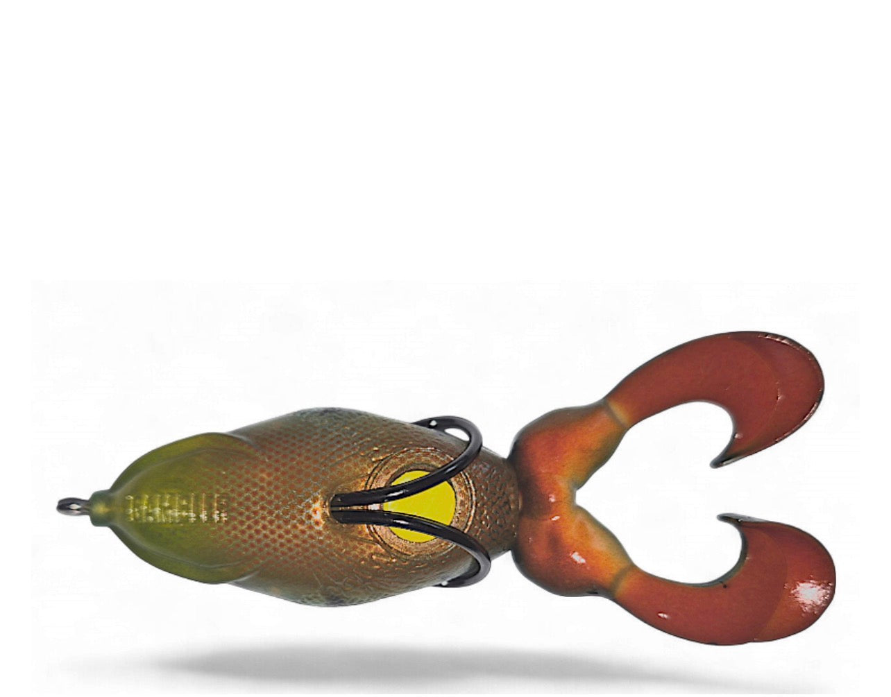 Gambler The Swimming Frog Sunfish