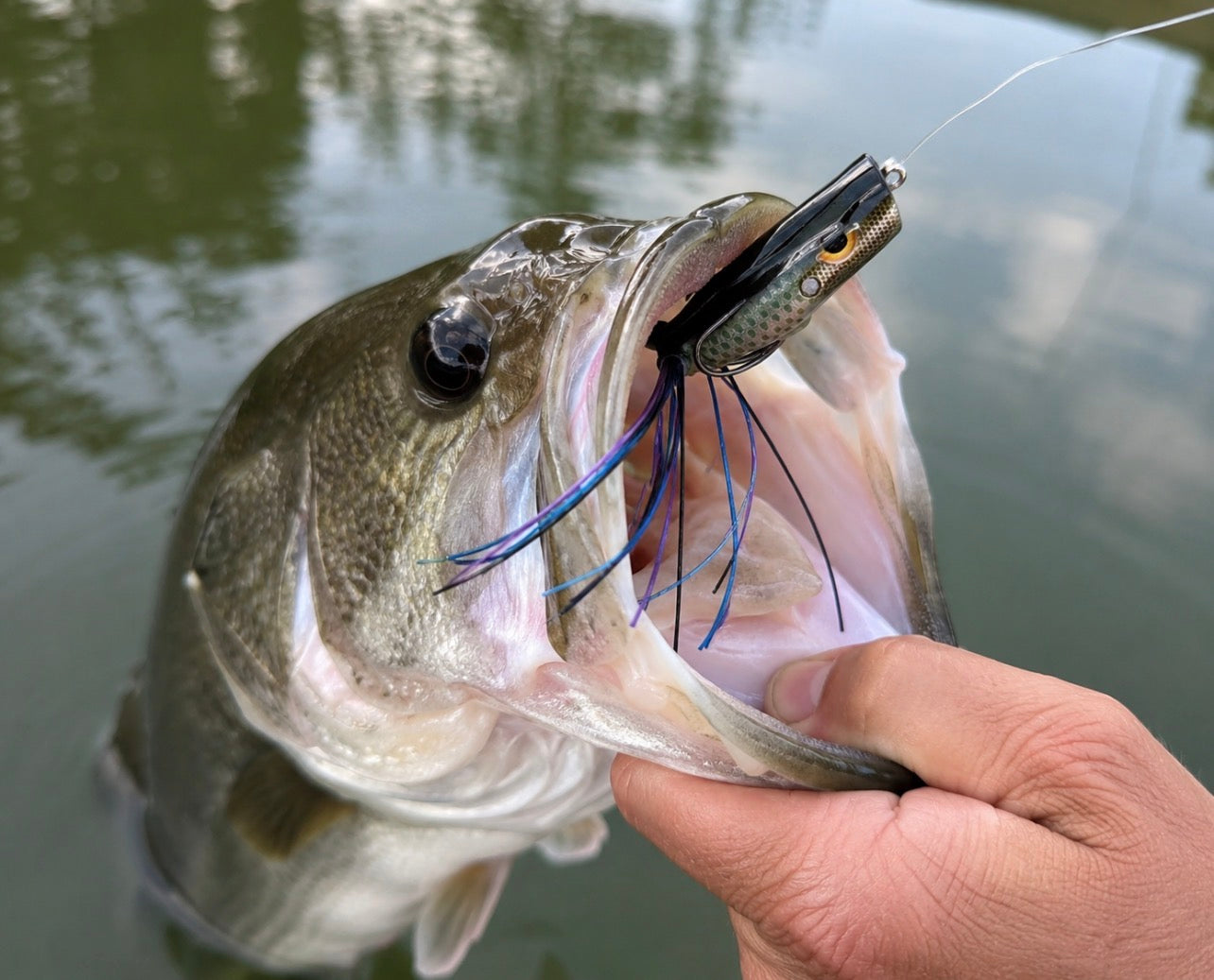 Gambler Popping Frog – Topwater Bass Frog