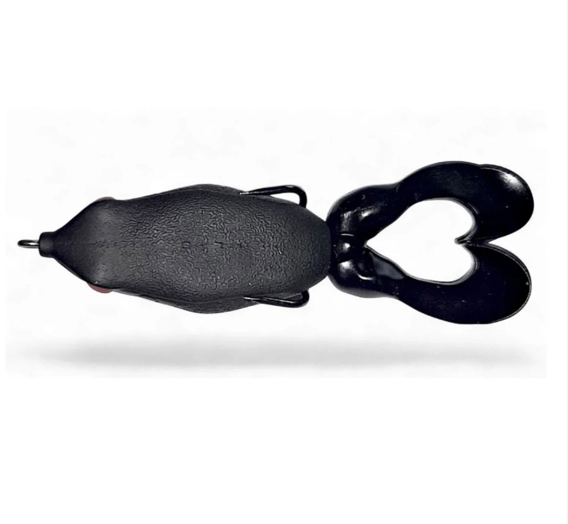 Gambler Swimming Frog