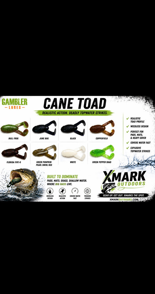 Gambler Cane Toad 4 inch - 5ct