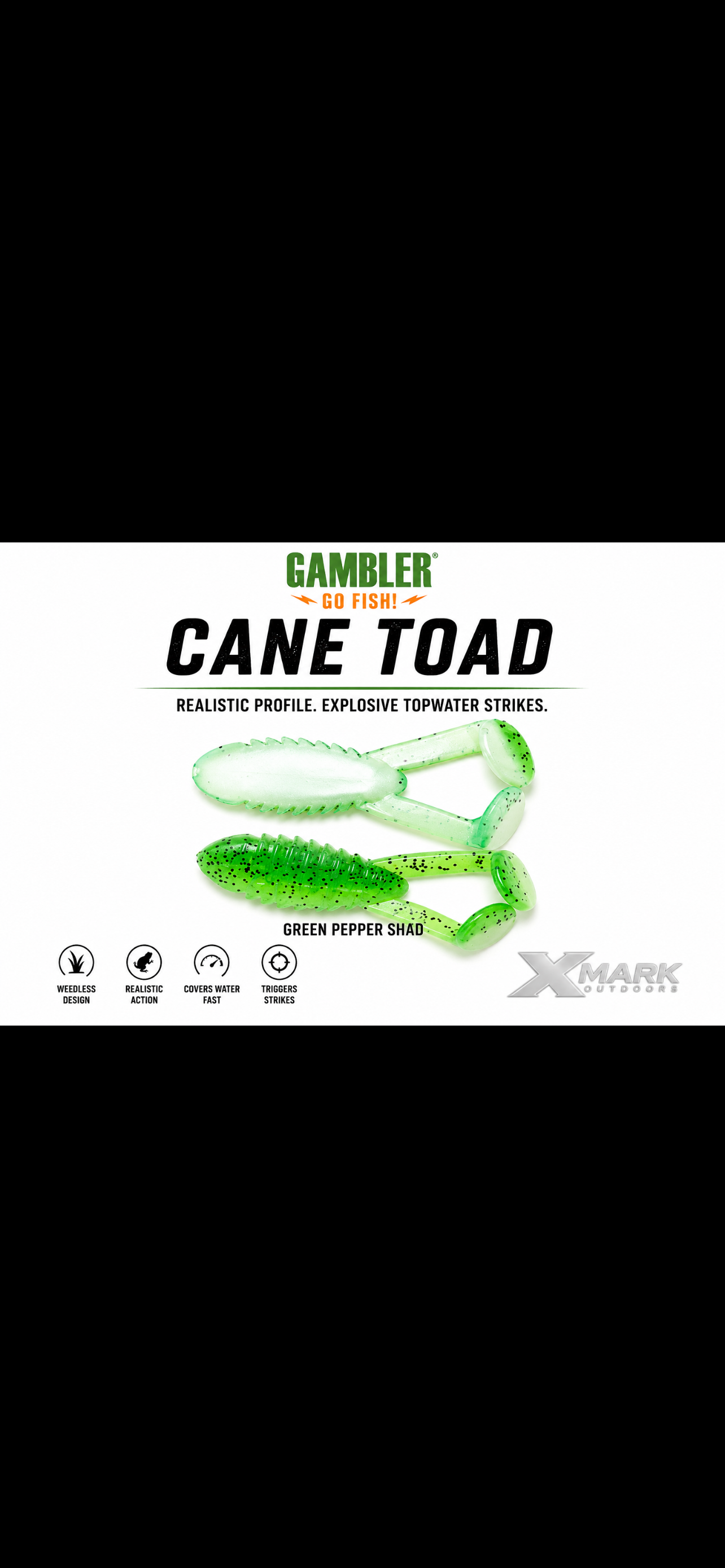 Gambler Cane Toad 4 inch - 5ct