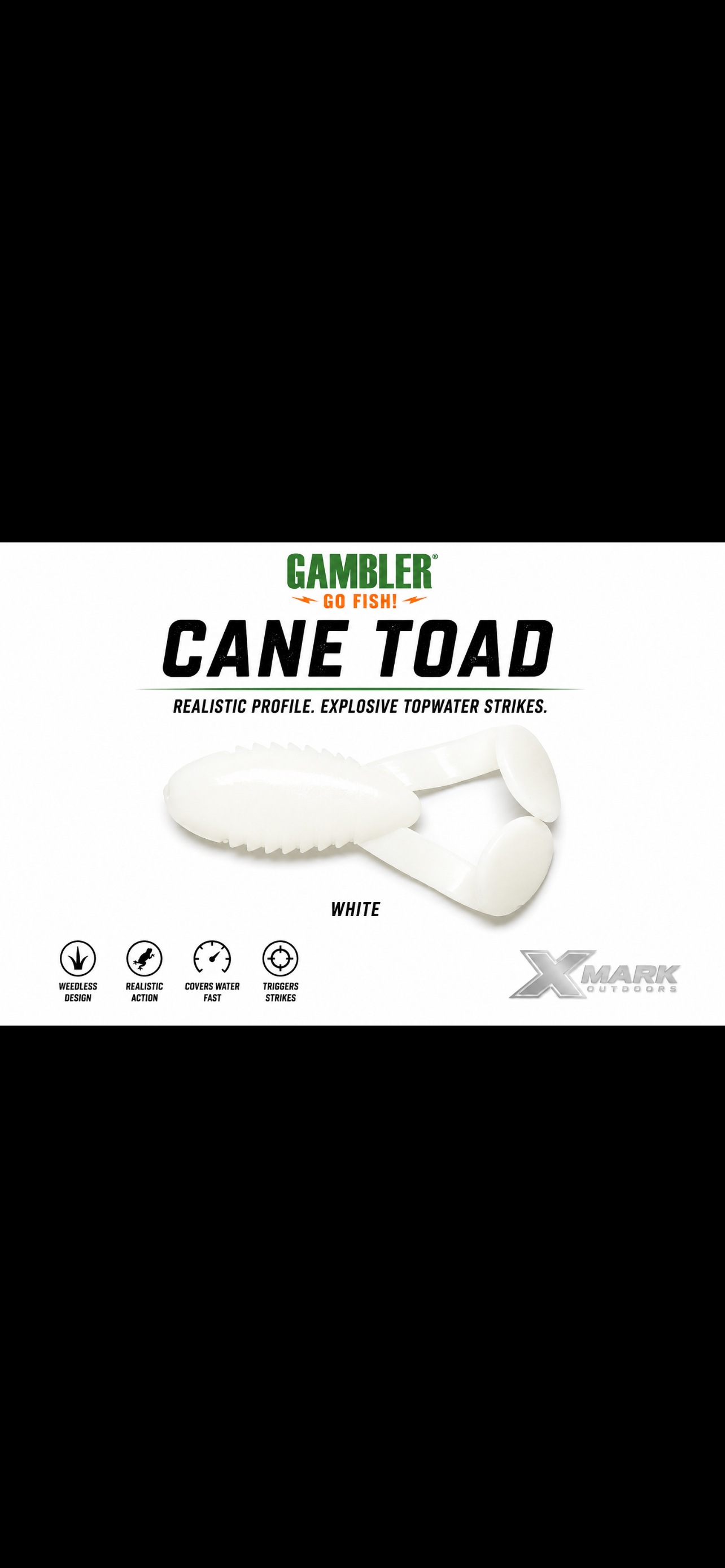 Gambler Cane Toad 4 inch - 5ct