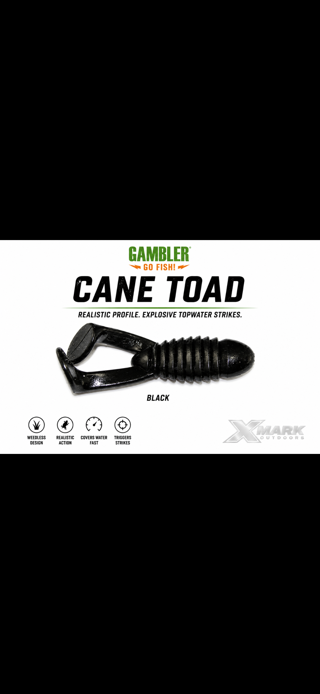 Gambler Cane Toad 4 inch - 5ct