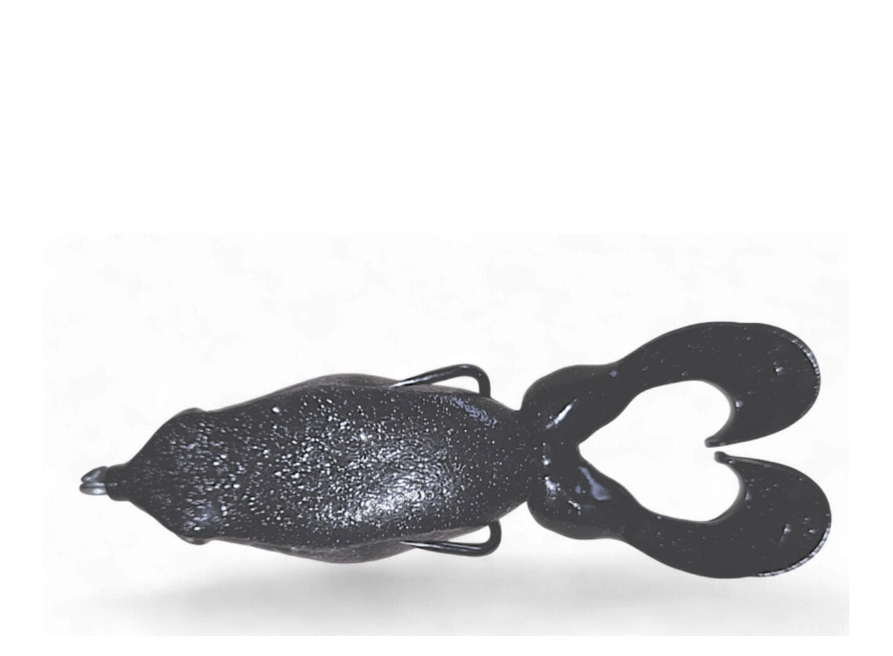 Gambler Swimming Frog