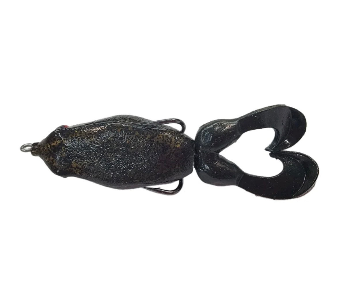 Gambler Swimming Frog