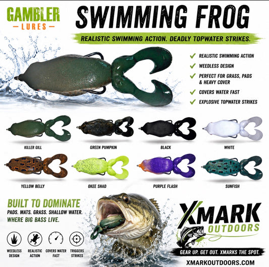Gambler Swimming Frog