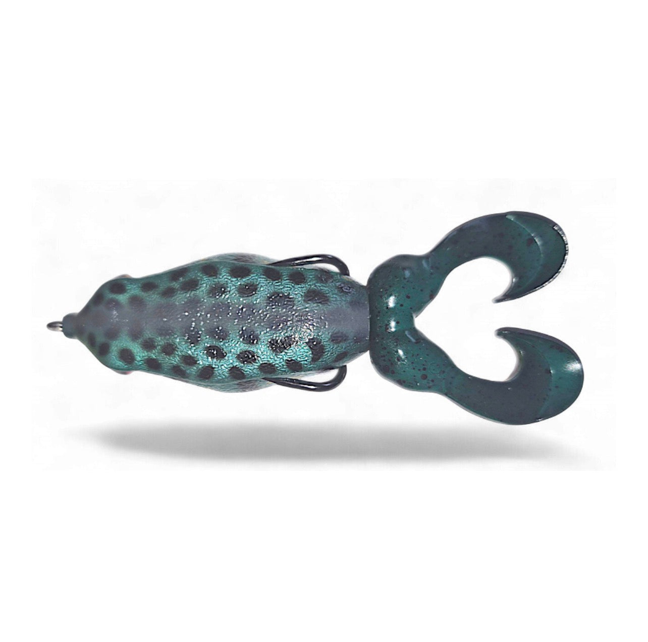 Gambler Swimming Frog