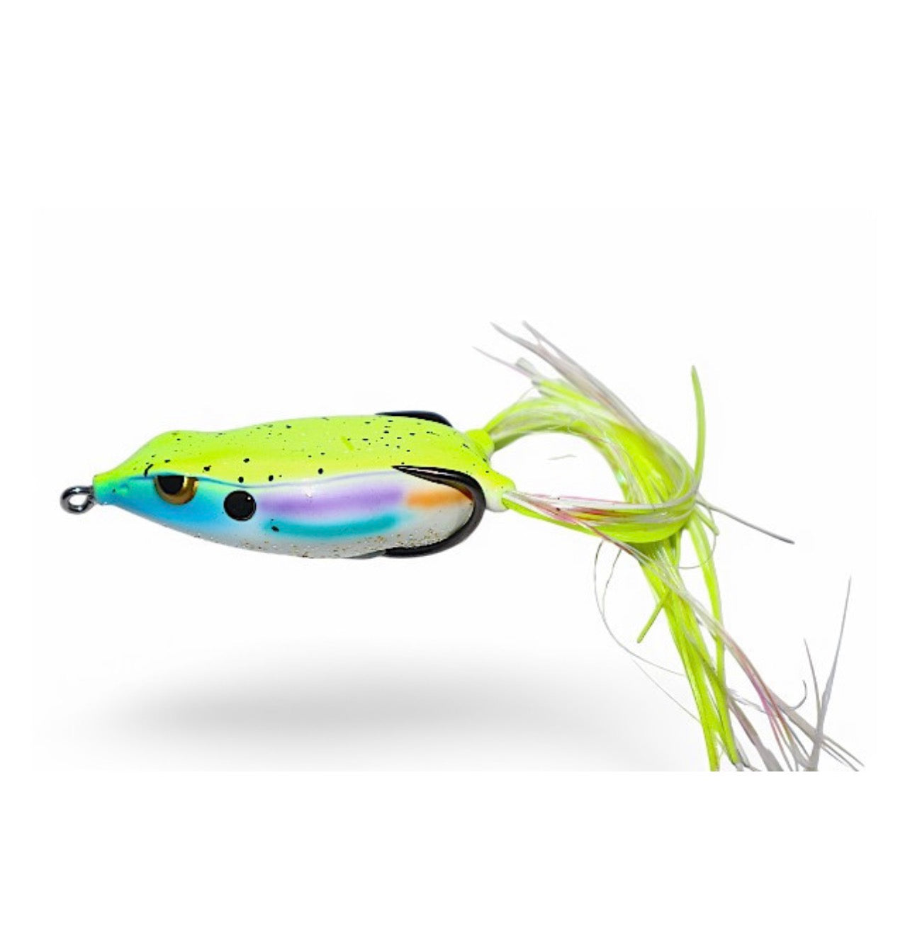 Gambler Walking Frog