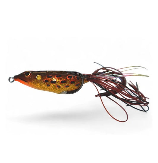 Gambler Walking Frog Yellow Belly