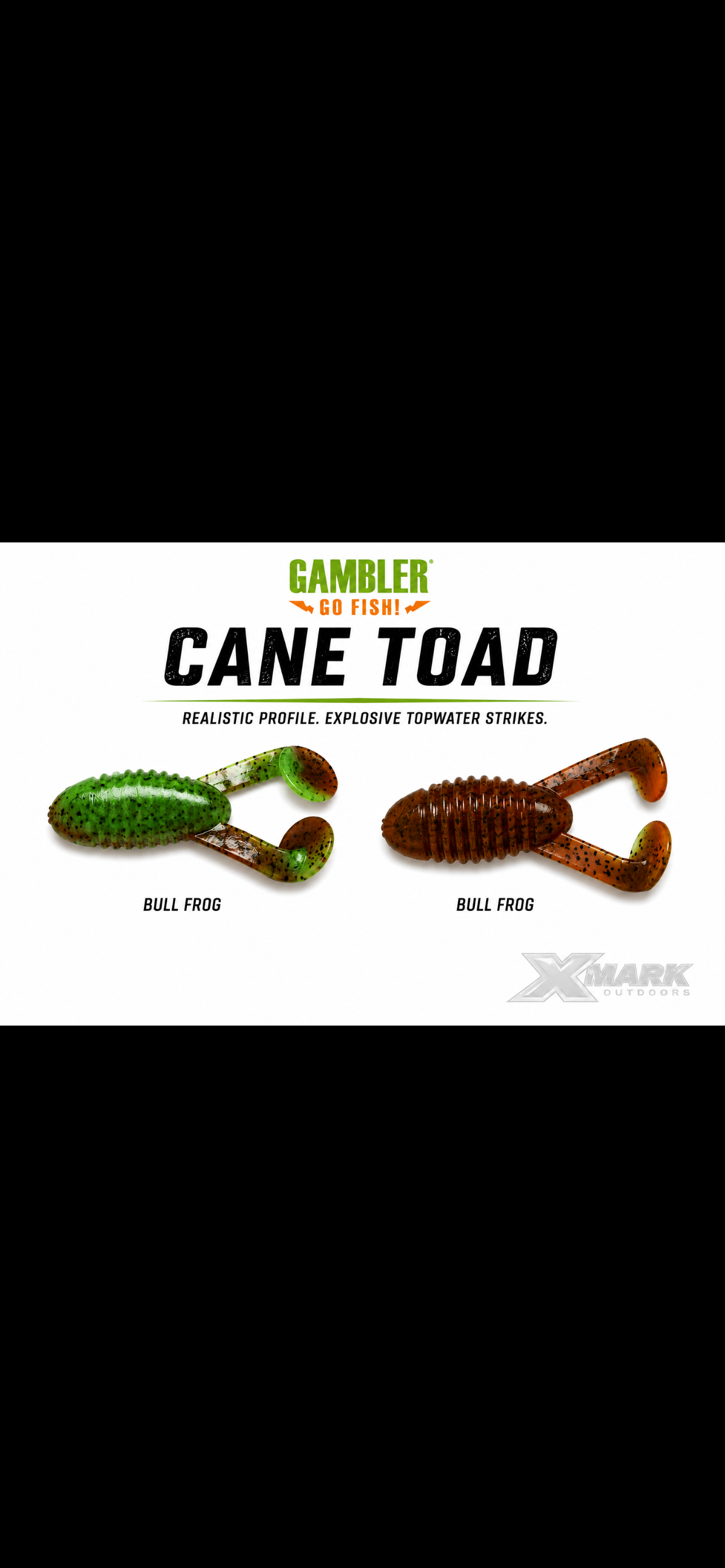 Gambler Cane Toad 4 inch - 5ct
