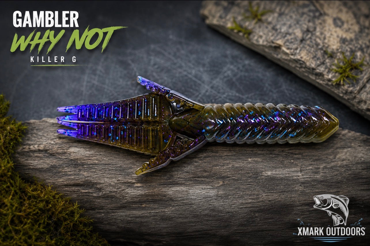 Gambler Why Not Creature Bait